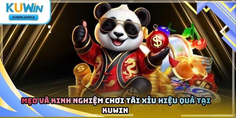 Cách Chơi Tài Xỉu Kuwin Chi Tiết Từ Cơ Bản Đến Nâng Cao